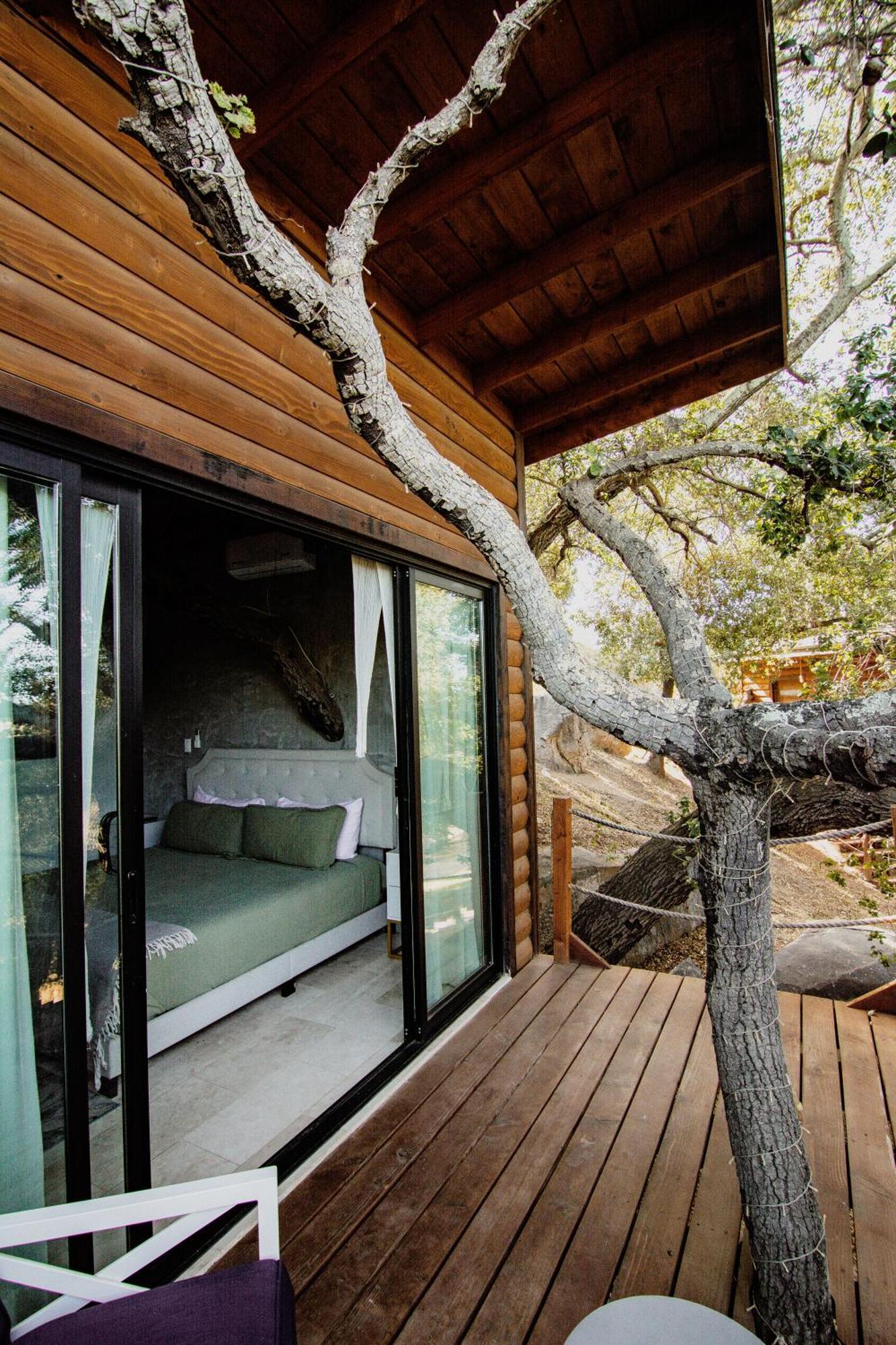 Boskenvid Hotel Boutique, Skypool Valle de Guadalupe Exterior photo